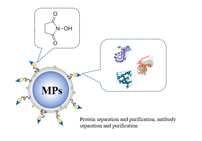 Custom NHS Magnetic Beads CD Bioparticles