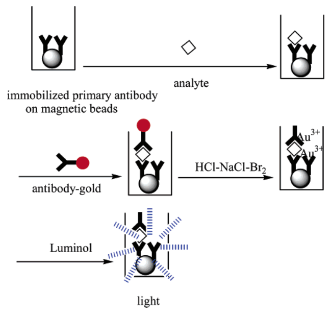 Magnetic Bead Based Chemiluminescent Immunodetection Of Immunoglobulin Cd Bioparticles 3278